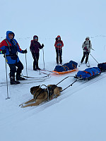 Nina2412hauge_20250330_67e8f35f24eac.jpg