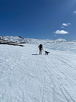 Nina2412hauge_20250414_67fd2627b1691.jpg