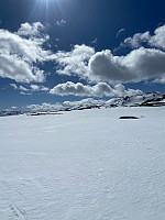 Nina2412hauge_20250414_67fd26292c1ea.jpg
