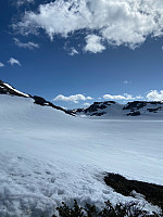 Nina2412hauge_20250414_67fd262a1b7cc.jpg