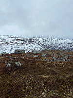 Nina2412hauge_20250417_6801072f0988f.jpg