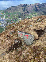 Nina2412hauge_20250418_6802698cc179a.jpg