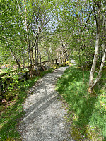 Nina2412hauge_20250418_6802699290d50.jpg