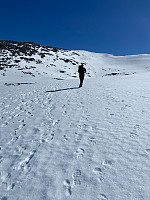 Nina2412hauge_20250419_6803acd8a9ddf.jpg