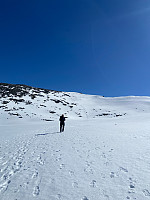 Nina2412hauge_20250419_6803acd9348cb.jpg