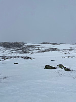 Nina2412hauge_20250502_6814bc10a3f2e.jpg