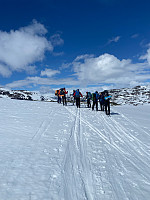 Nina2412hauge_20250504_681708a436b28.jpg