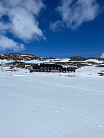 Nina2412hauge_20250504_681708a4ac498.jpg