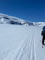 Nina2412hauge_20250504_6817648cd690e.jpg