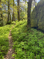 Nina2412hauge_20250510_681f5ac3e9393.jpg