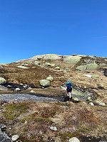 Nina2412hauge_20250531_683b378b58acf.jpg