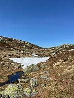 Nina2412hauge_20250531_683b378f19f23.jpg