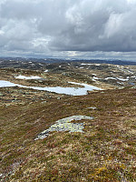 Nina2412hauge_20250601_683ca3f3d8ce1.jpg