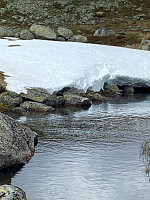 Nina2412hauge_20250601_683ca3f582165.jpg