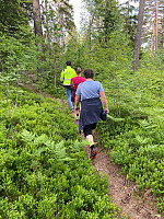 Nina2412hauge_20250608_6845bf70360ae.jpg
