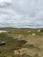 Nina2412hauge_20250710_686fdde73999f.jpg