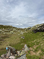 Nina2412hauge_20250710_686fdde7be54d.jpg