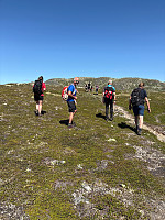 Nina2412hauge_20250712_68727eae18a60.jpg