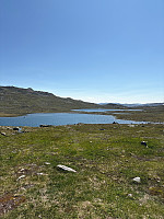 Nina2412hauge_20250712_68727eb00825e.jpg