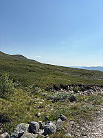 Nina2412hauge_20250712_68727eb278595.jpg