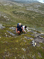 Nina2412hauge_20250713_6873b57d0dd7c.jpg