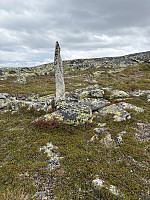 Nina2412hauge_20250713_6873b57da5301.jpg