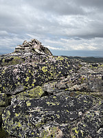 Nina2412hauge_20250713_6873b57e3c4df.jpg