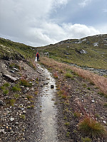Nina2412hauge_20250806_68935d992ed1f.jpg