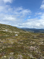 Nina2412hauge_20250806_68935d9d7b3de.jpg
