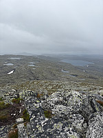 Nina2412hauge_20250807_6894b9dc22fdf.jpg