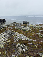 Nina2412hauge_20250807_6894b9dca713e.jpg