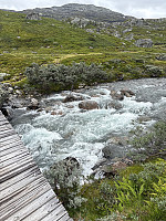 Nina2412hauge_20250807_6894b9df4efbb.jpg
