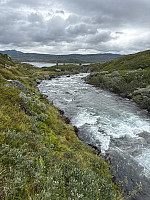 Nina2412hauge_20250807_6894b9dfd8f49.jpg
