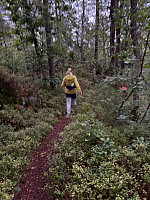 Nina2412hauge_20250811_689a43b1e974d.jpg