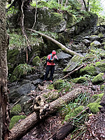 Nina2412hauge_20250811_689a43b3b7561.jpg