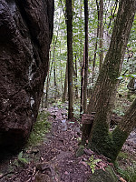 Nina2412hauge_20250811_689a43b44cab4.jpg