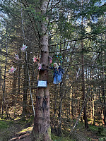 Nina2412hauge_20250823_68a98b53da6c4.jpg
