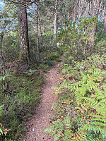 Nina2412hauge_20250824_68aae03fdb1d5.jpg