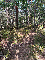 Nina2412hauge_20250824_68aae04112915.jpg