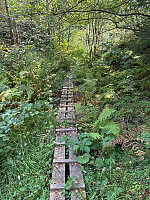 Nina2412hauge_20250824_68aae04246b73.jpg