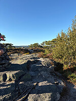Nina2412hauge_20250825_68ac9af4007e4.jpg