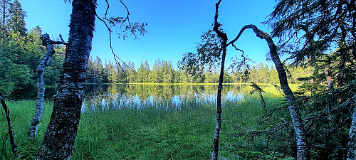 Øvre Svartjern