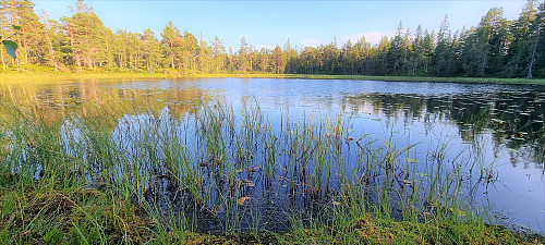 Vannet uten navn på 505 moh