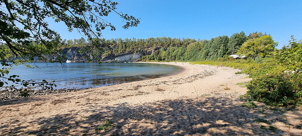 Erstvika