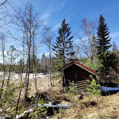 Fin koie ved Antonsmyr. Få hytter i området.    