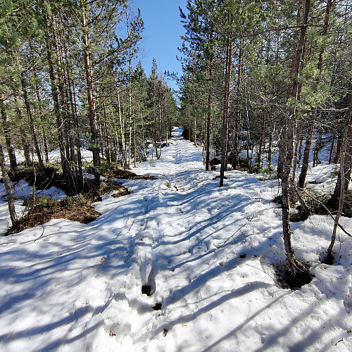 Bra med snø. Hadde blitt en slitsom tur om det ikke hadde vært for kuldegradene om ntatta.
