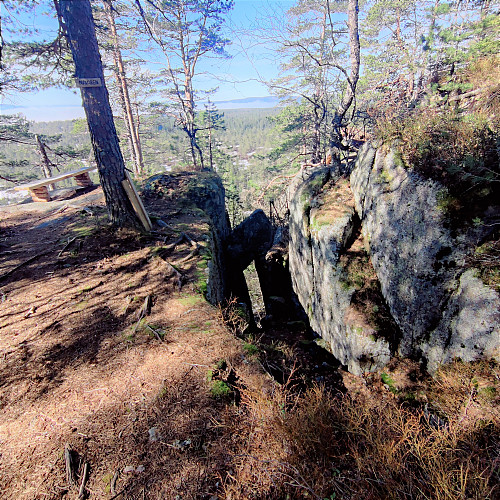 Skorta
