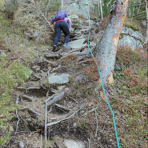 Opp Dronningstien
