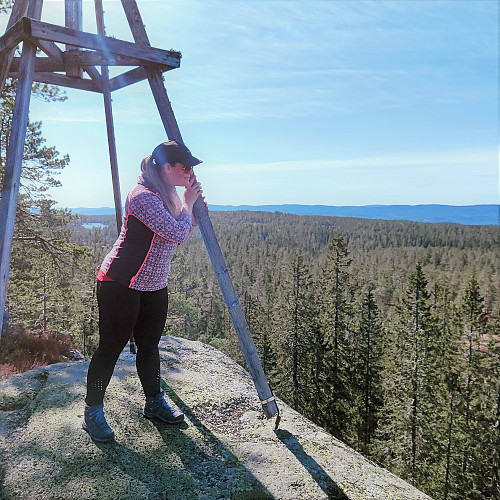 Måneksinnsheia