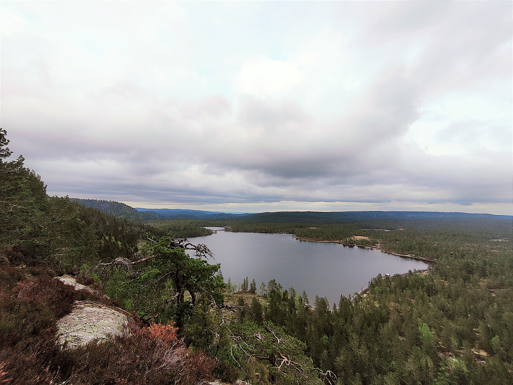 Utsikt fra Damåsen